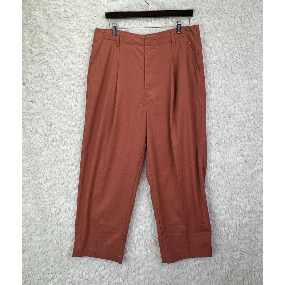 Standard Cloth Pleated Trousers 34 Rust Orange Relaxed Minimalist Gorpcore